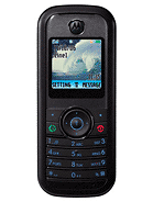 Best available price of Motorola W205 in Equatorialguinea