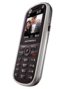 Best available price of Motorola WX288 in Equatorialguinea