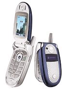 Best available price of Motorola V560 in Equatorialguinea